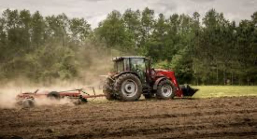 Limpeza de Terrenos, Lavoura