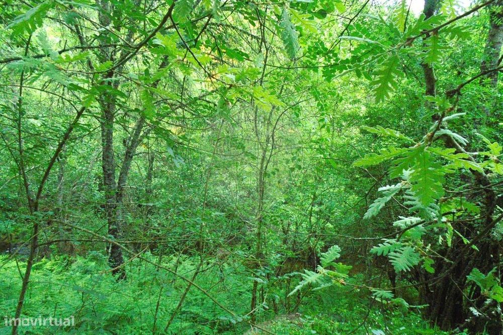 Terreno  para venda