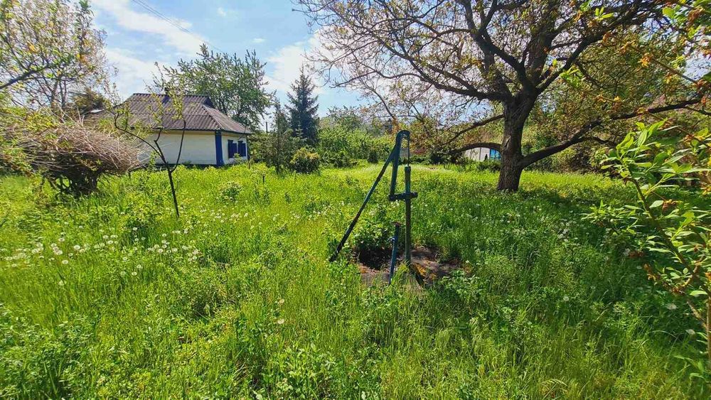 Продам БУДИНОК  в с. ЧИКАЛІВКА під ДАЧУ. 13000