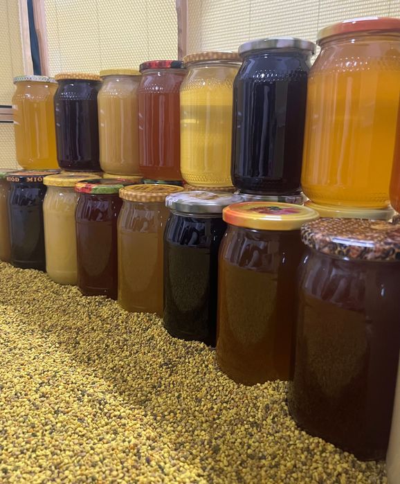 miód, miód naturalny pszczeli sloik miód gatunki matki pszczele