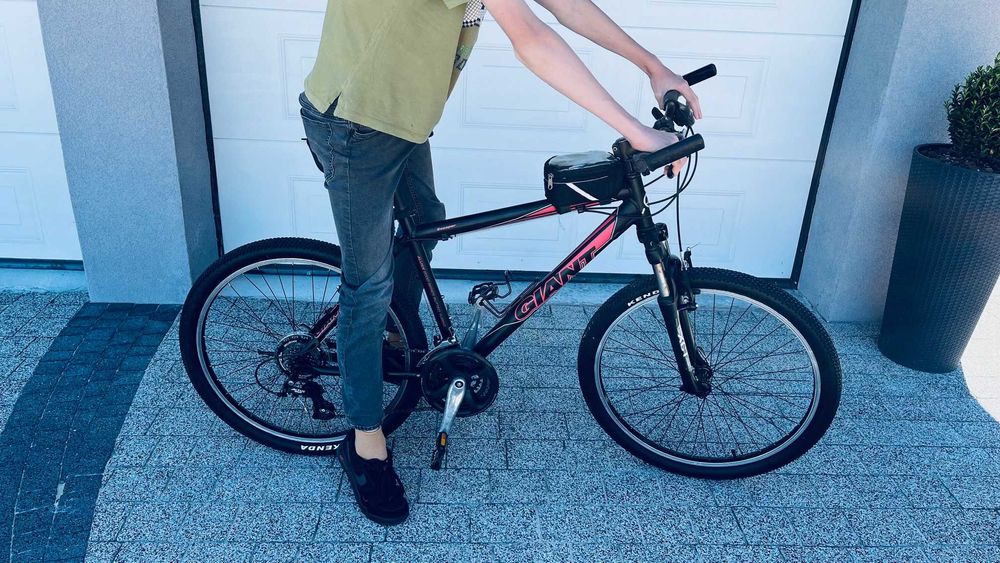 Rower MTB Giant Escaper