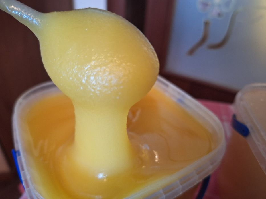 Продам Мед. Рінзнотрав'я  Сонях , Золотарник , Липа , ароматний