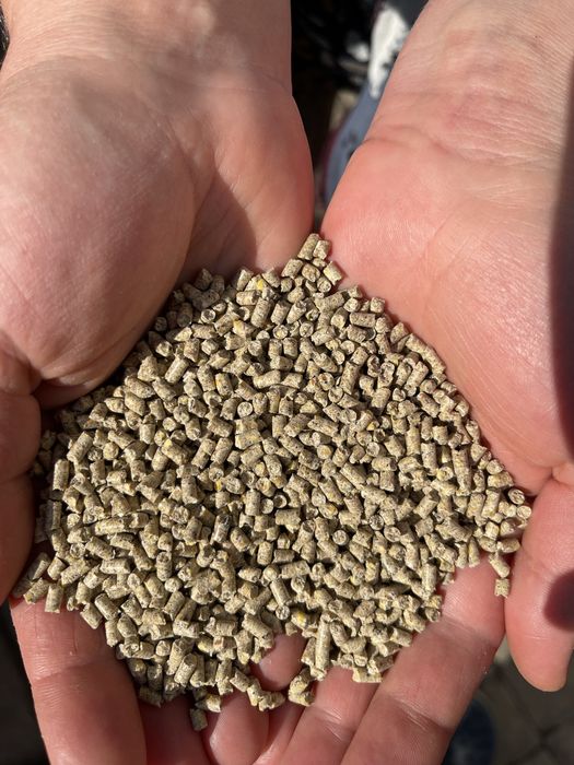 Кукурудзяний наповнювач 3 мм 10 кг