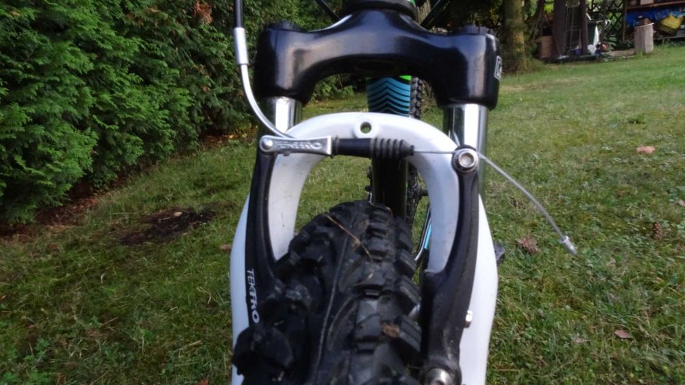 Rower Kellys Kiter 50