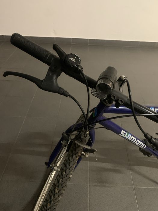 Biciclrta adulto