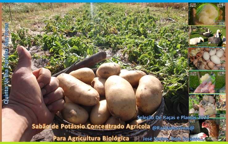 Sabão de Potássio Puro para Plantas (Agricultura Biológica 950)