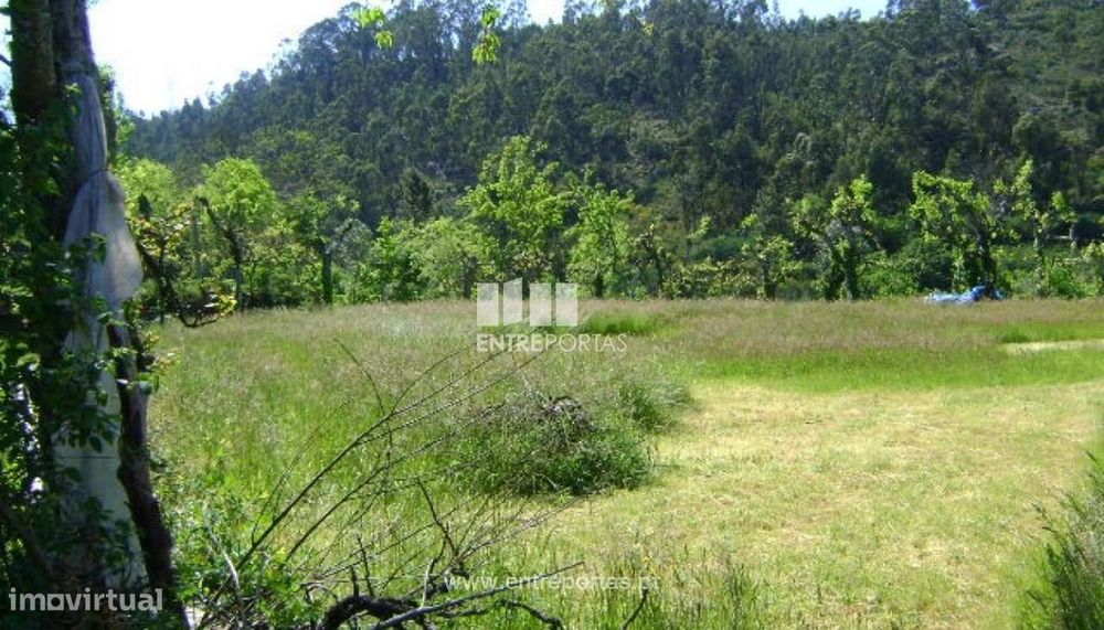 Venda Terreno, Paredes de Viadores, Marco de Canaveses