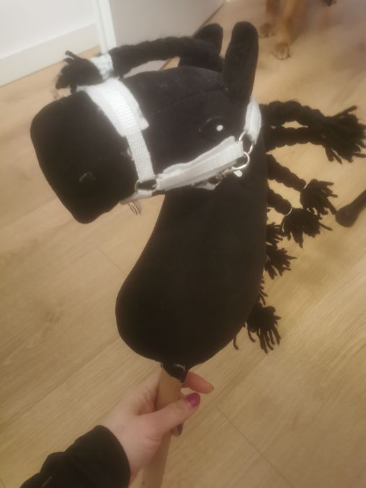 Hobby Horse różne