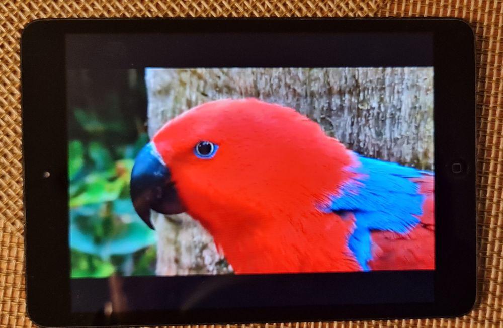 Apple IPad Mini A1432 16Gb Gwiezdna Szarość BDB