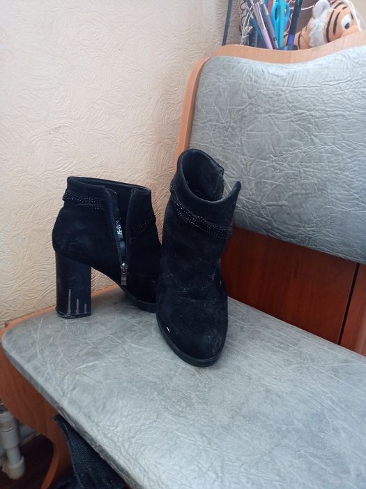 Безкоштовно віддам Миколаїв