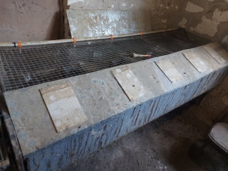 Маточні клітки кролячі