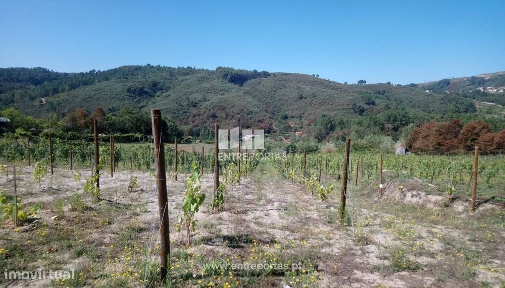 Venda Terreno, Gove, Baião
