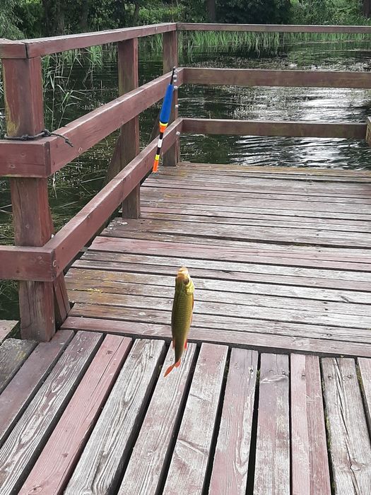 Domek Słoneczny Stok Kretowiny  Jezioro Narie