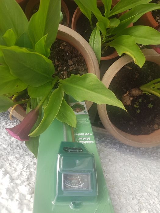 Medidor para plantas
