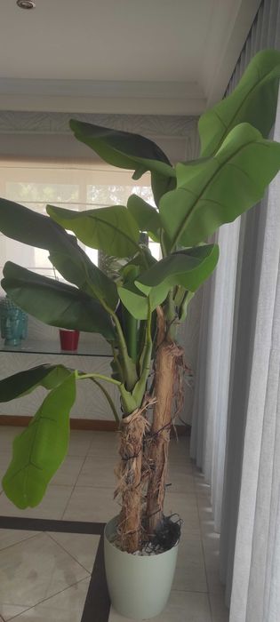 Planta artificial, de óptima qualidade, com aspeto de natural