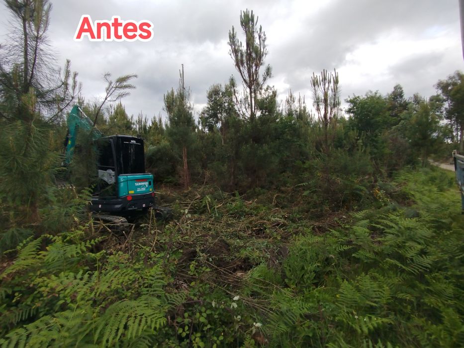 Serviço mini giratória (limpeza com destroçador martelos,abre valas)