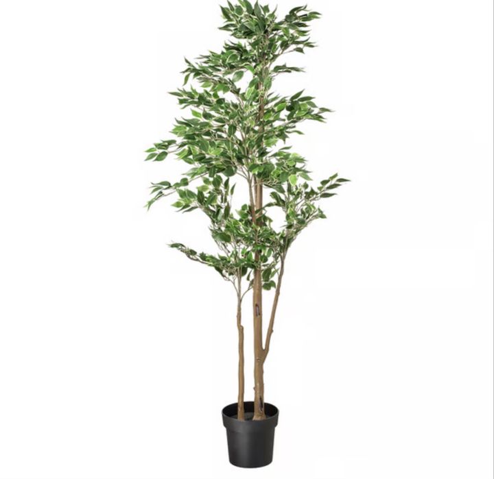 Planta Artificial Ficus Variegata (Como Nova)