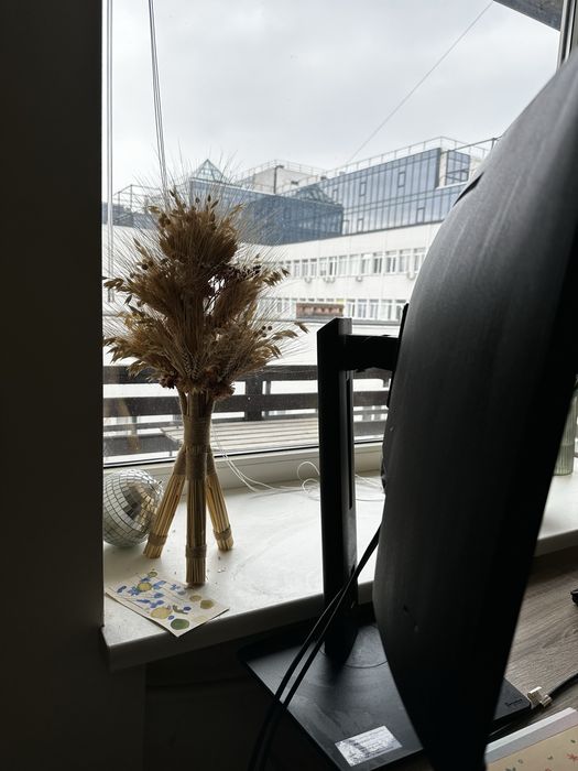 Монітор IIYAMA з вигнутим екраном