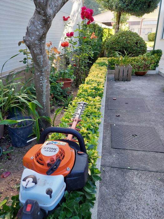 Jardinagem/ Arboricultura