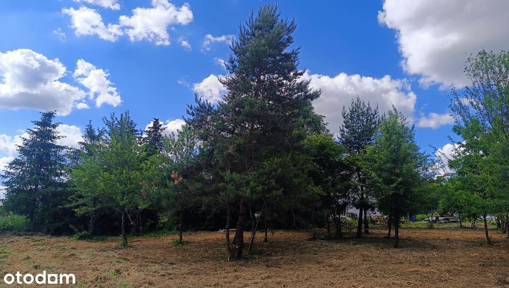 Działka budowlana 1750 m², blisko lasu BRZEZINY/BILCZA – další