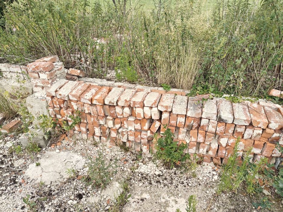 Stara cegła 50 gr/szt