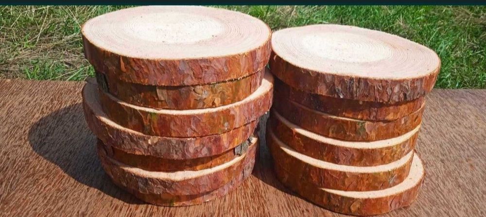 Plastry drewna, 20szt, 15-20cm, krążki , podstawki, stroiki, wysyłka