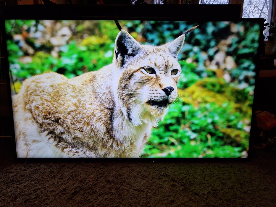 Tv Panasonic 55" 4K SMART WiFi DVBT-2 Hevc UHD HDR telewizor LED