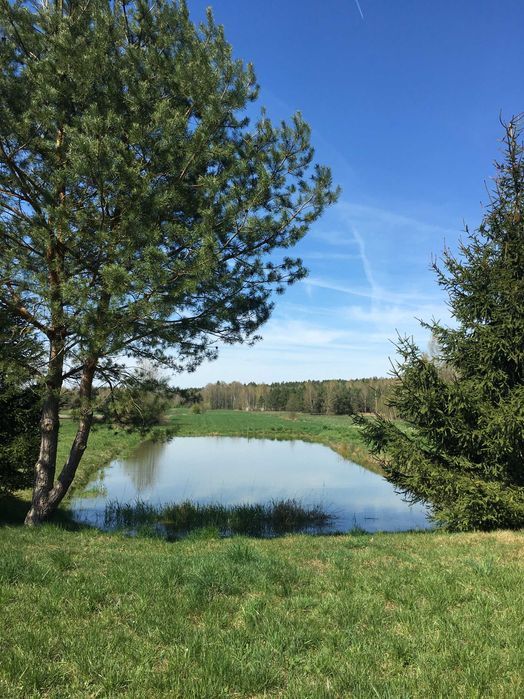 Sauna - Czarna Bania & Augustów-Bór