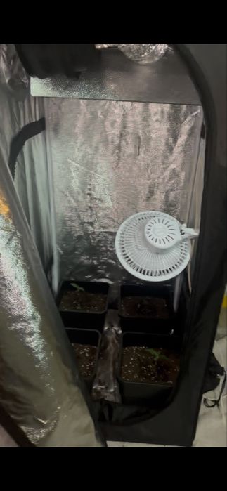 Estufa para cultivacão