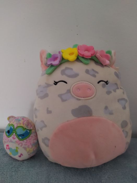 Maskotka squishmallows Świnka krowka + gratis