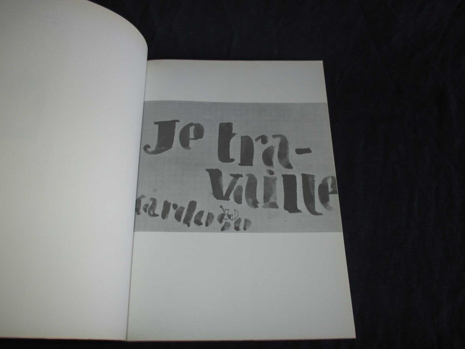 Livro Amadeo de Souza-Cardoso A Primeira Descoberta de Portugal