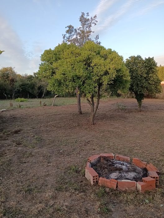 Jardinagem e multisserviços