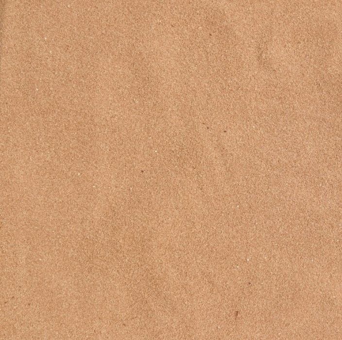 jaja solowca do wylęgu artemia priroda green 100g