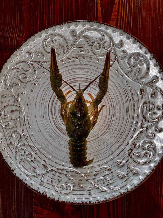 Рак    відбірний