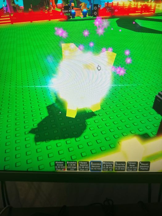 Срочно продам енота за 250 грн