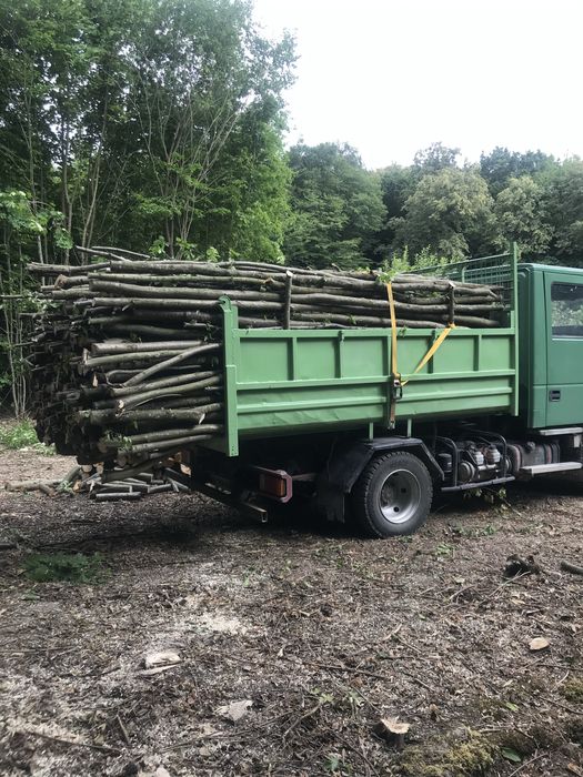 Продам  д р о в а ( колені ,метровки , ріща)