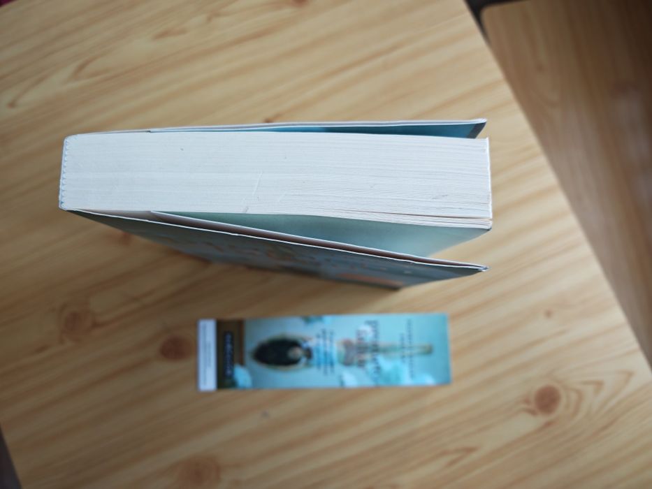 Livro Prometo falhar