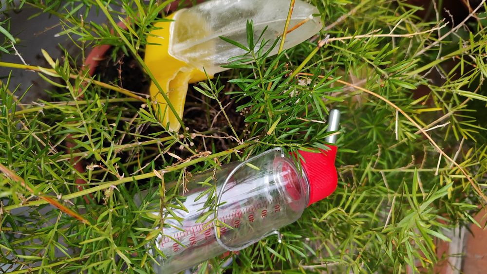 Поїлка для гризунів та попугая