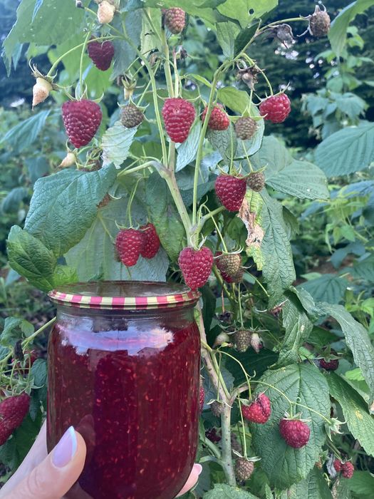 Варення з малини джем повидло