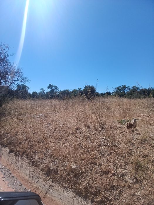 Terreno Rústico Algarve vende-se