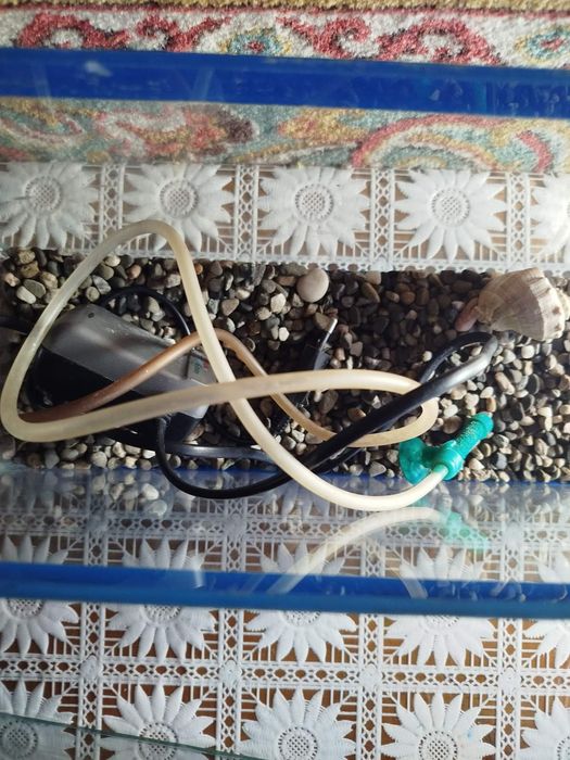 Продам акваріум на 5 літрів з ареатором