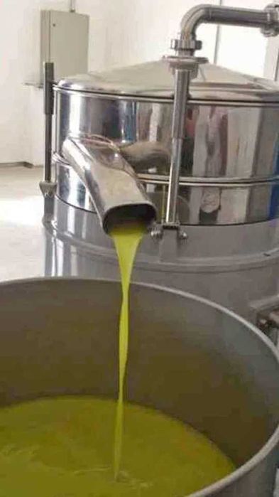 Azeite BIO Caseiro virgem extra 0,5 acidez |Trás-os-Montes | Entrega