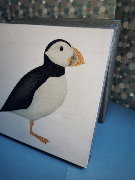 Drewniane pudełko maskonur puffin Islandia