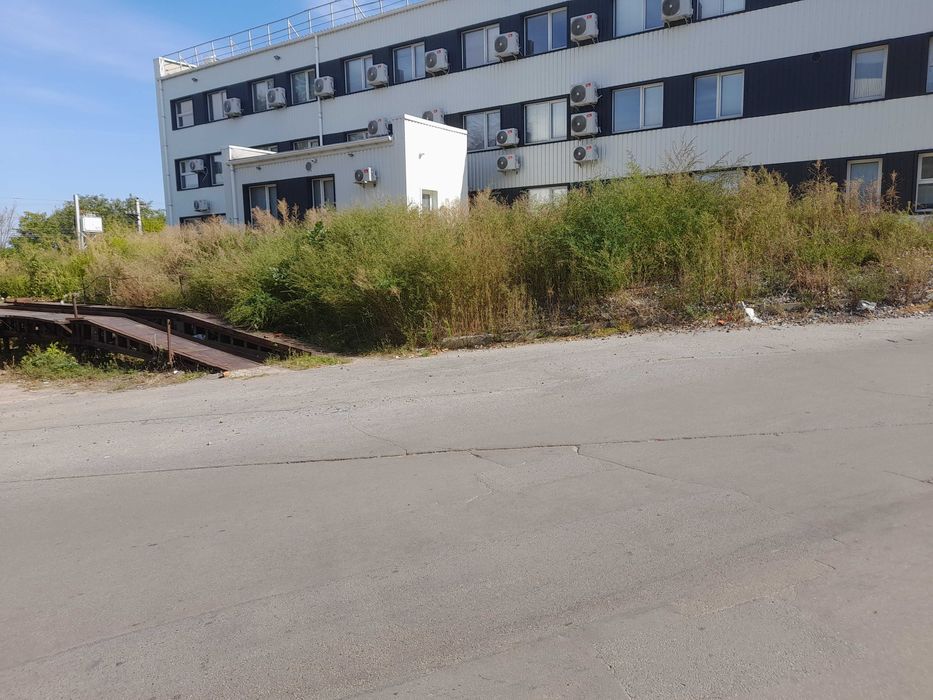 Покос травы, бурьяна. Спил деревьев. Быстро и качественно.