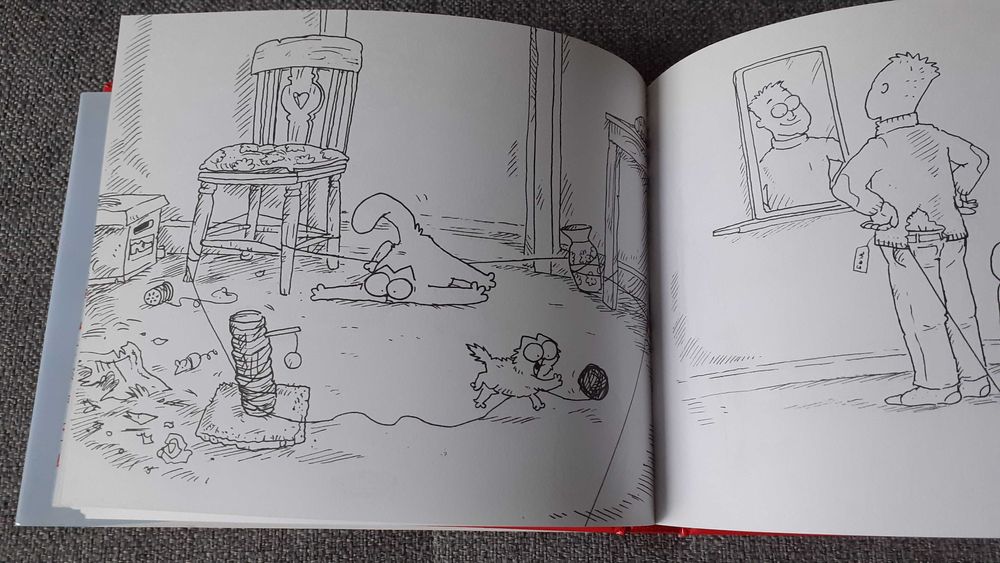 Książka Kot Simona i kociokwik