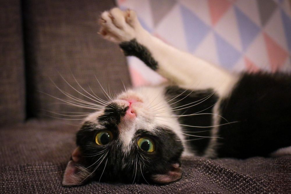 Czy ktoś mnie pokocha?