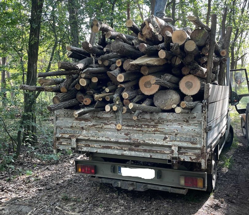 Dąb drewno kominkowe opałowe suche Sosna