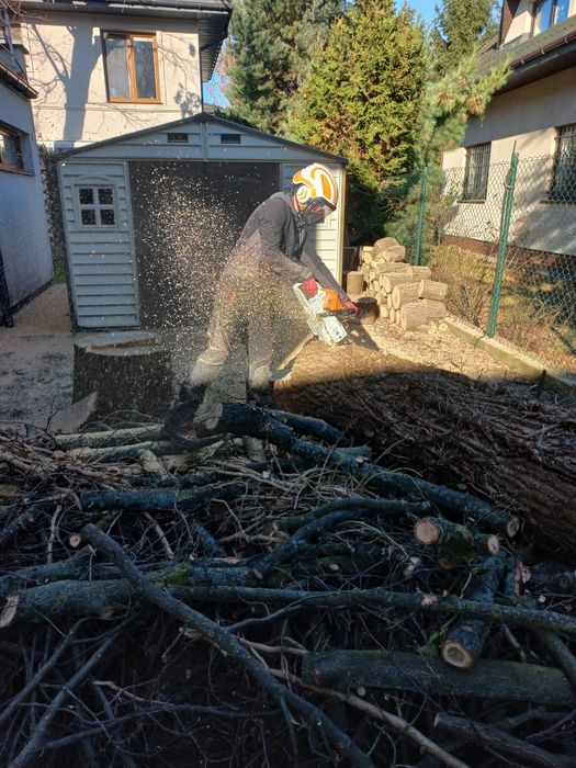 》》》Wycinka i Pielęgnacja Drzew《《《