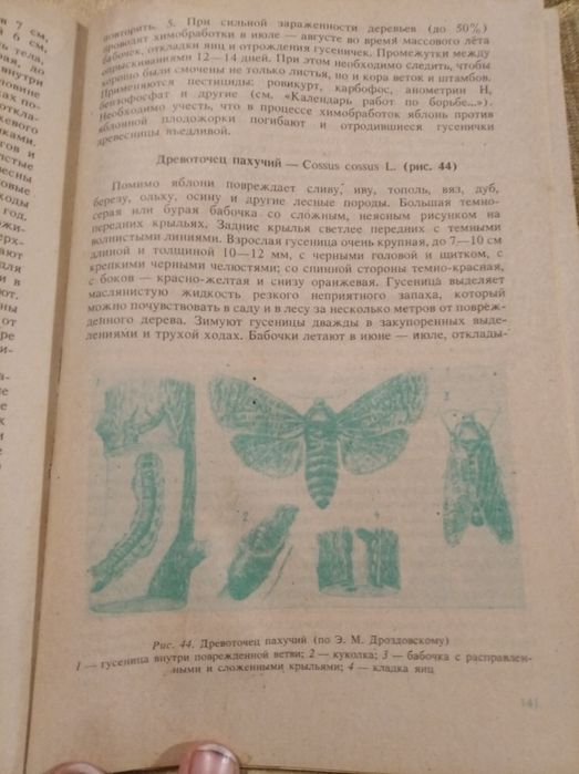 Яблоня в вашем саду Гусева И.Н. 1991 книга садовода советы садовнику