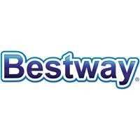 Bestway Oring P6029